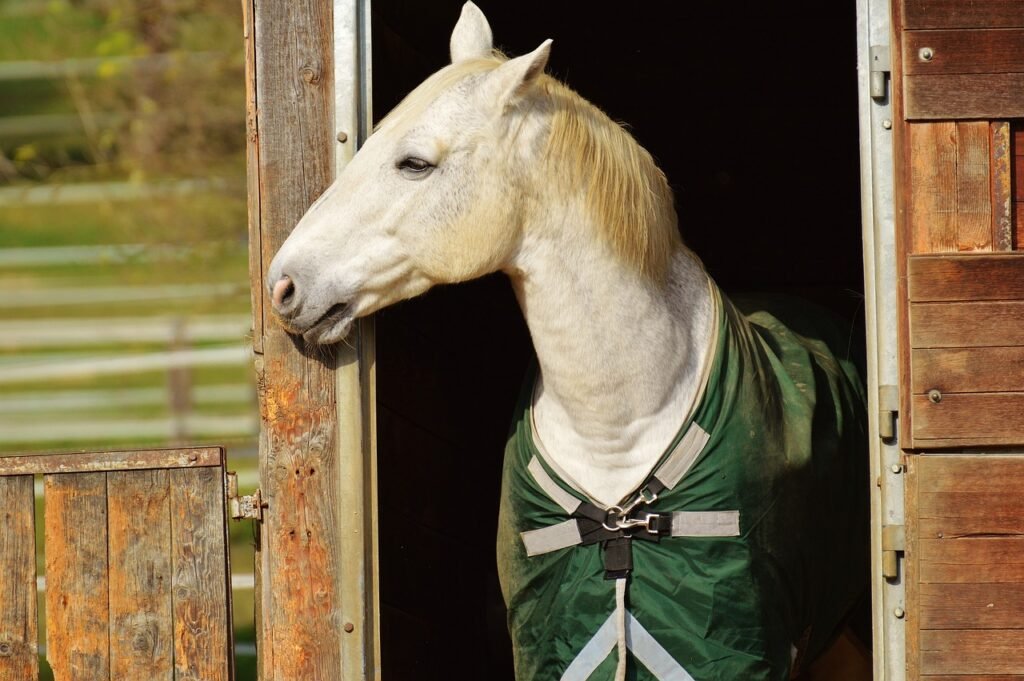 SME Equine Rugwash Services Ltd