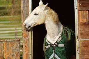 SME Equine Rugwash Services Ltd