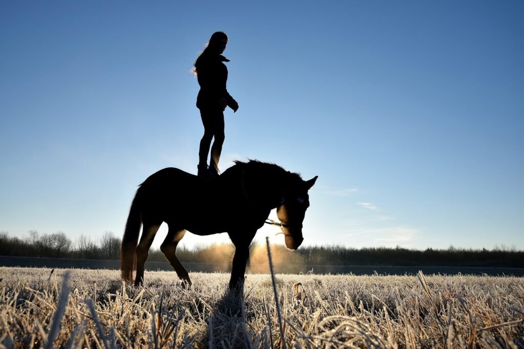 Can You Get a DUI Riding a Horse? Understanding UK Laws