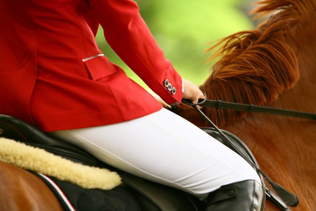 Cardiff and Vale Riding Club