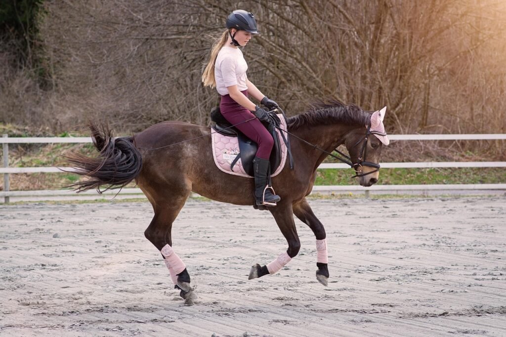 Crowwood Riding School