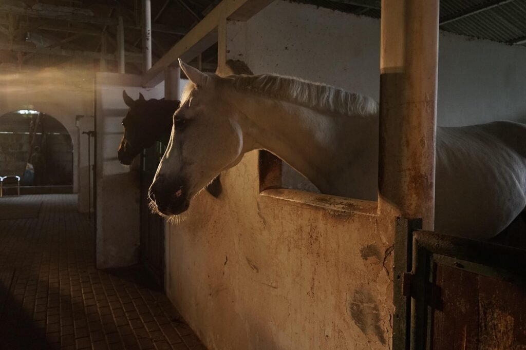 Hartwell Riding Stables Ltd.