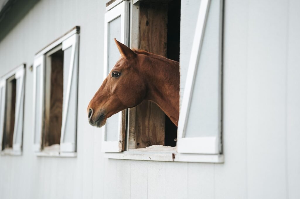 Valley View Stables