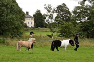 Wiltshire