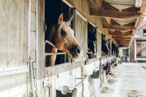 Chapmans Farm Equestrian Yard