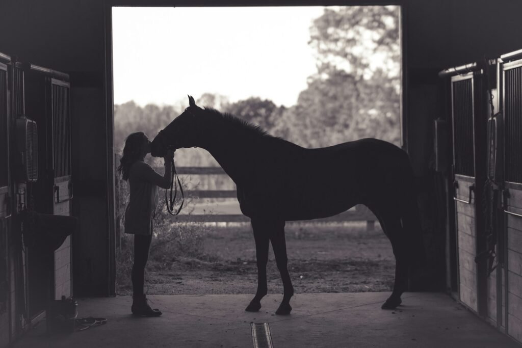 Campsie View Stables