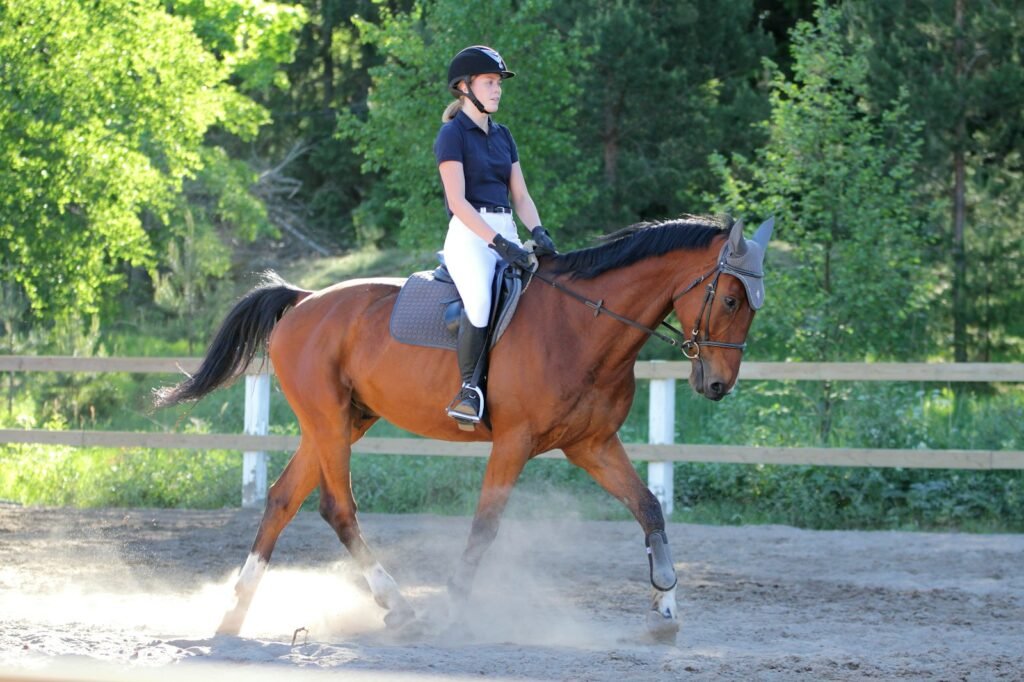 Lionsgate Riding Centre