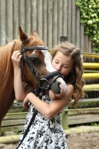 pony, girl, horse, child, nature, animal, hobby, cute, coupling, horse riding, summer, pony riding, love for animals