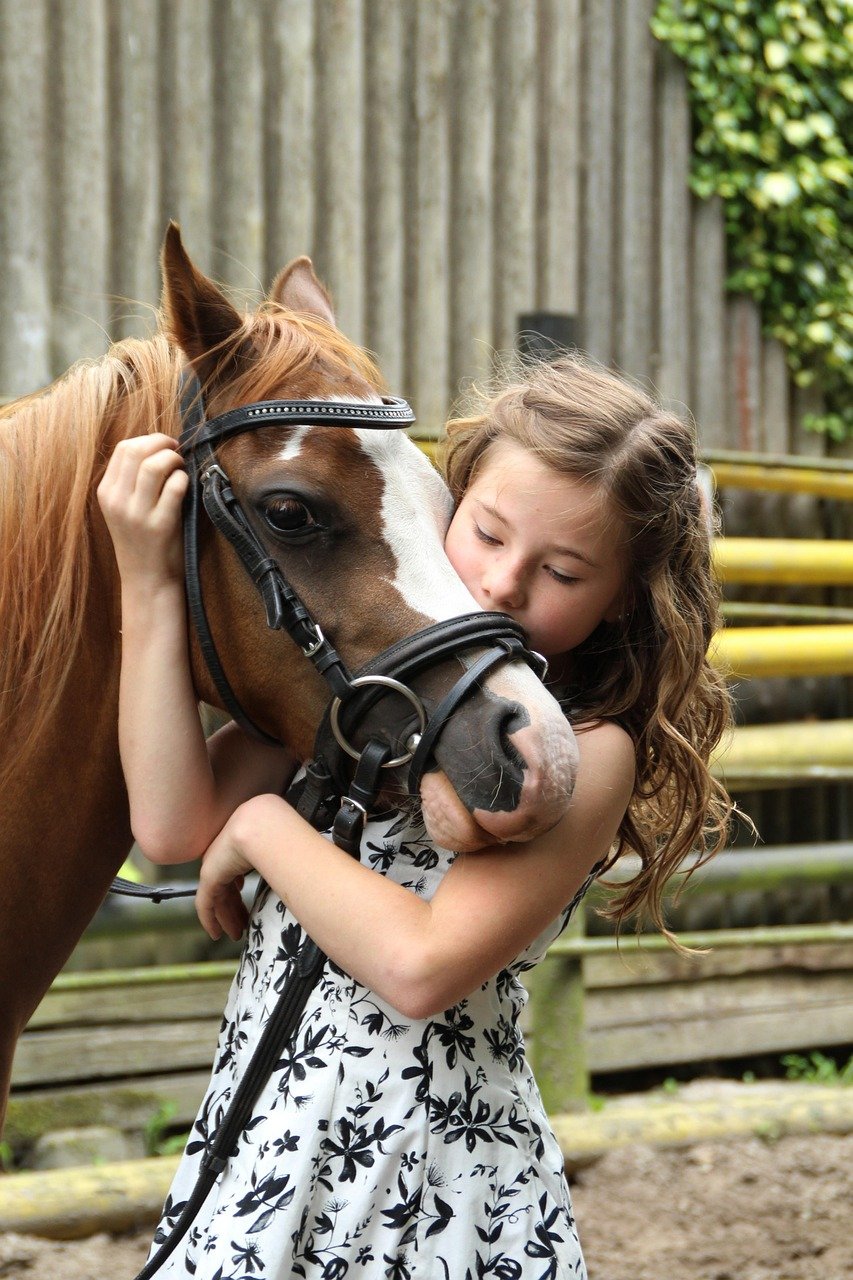 pony, girl, horse, child, nature, animal, hobby, cute, coupling, horse riding, summer, pony riding, love for animals