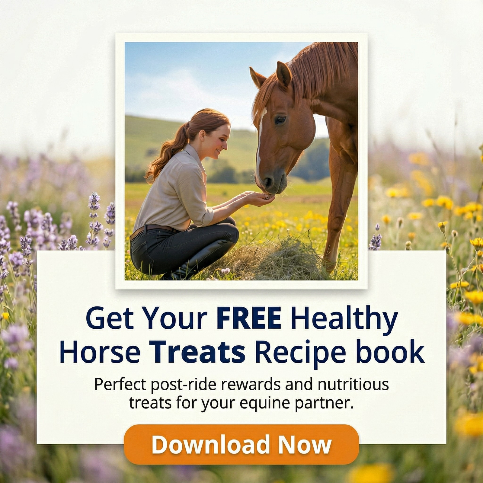 Healthy Horse Treats Recipe Book