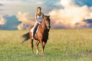 How Long Do Horses Live? (And Do They Really Sleep Standing Up?)