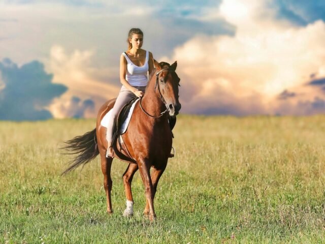 How Long Do Horses Live? (And Do They Really Sleep Standing Up?)