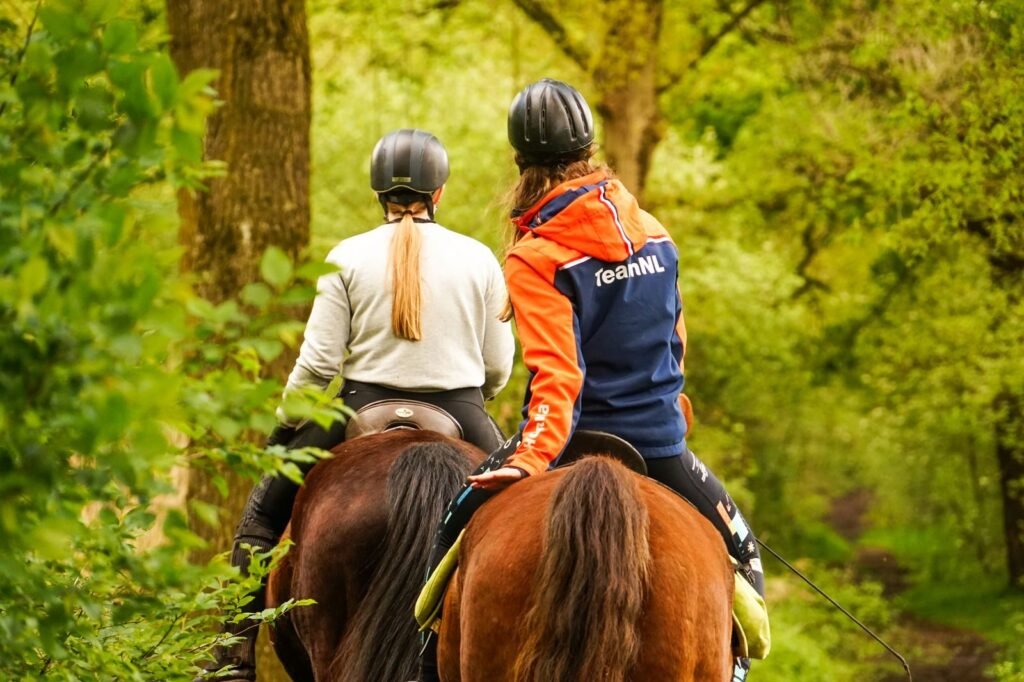 Gwydyr Stables Riding & Trekking (formerly Tŷ Coch)