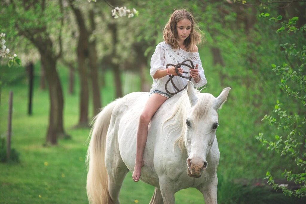 Aberconwy Equestrian Centre