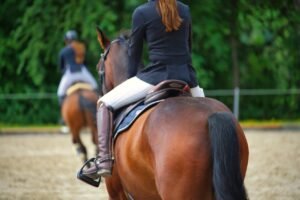 Silkstone Equestrian Centre