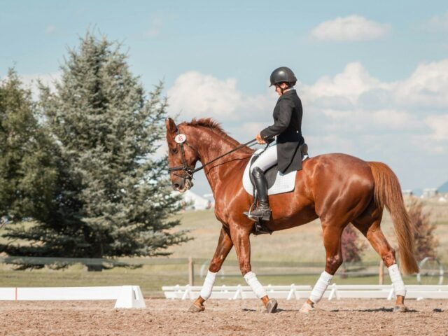 Saddle Up: Discover Your Next Great Equestrian Adventure in the UK