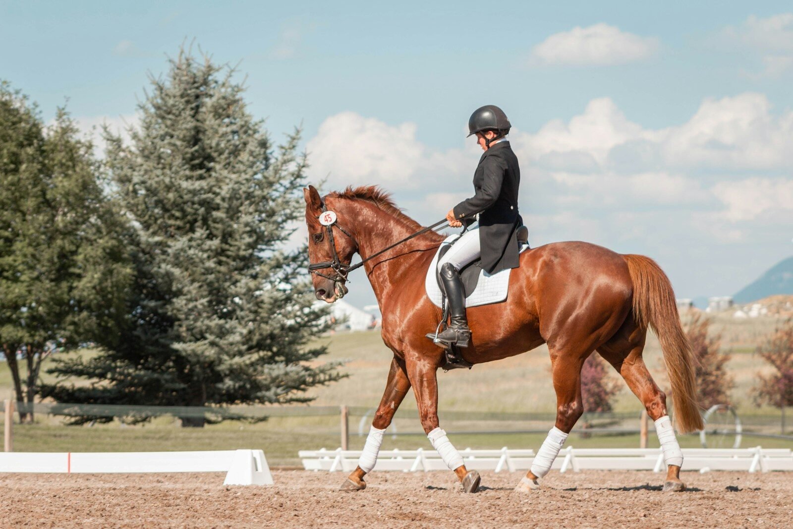 discover horse riding in the UK